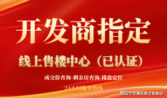 后续因规划及设想方案调整变化的内容